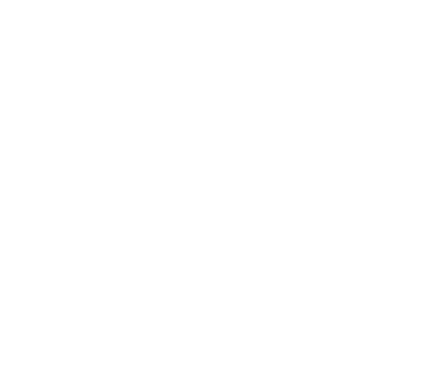 Logo RCN Campings Zeeland