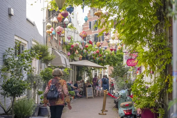 Roompot Noordzee Residencé Dishoek - omgeving