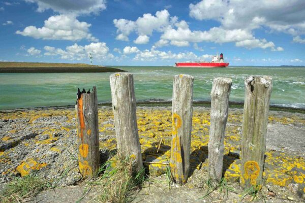 Wat te doen in Terneuzen 3