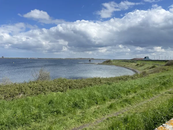 Wat te doen in Scharendijke